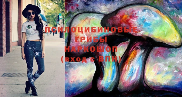 гидра Тайга