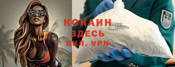 гидра Тайга